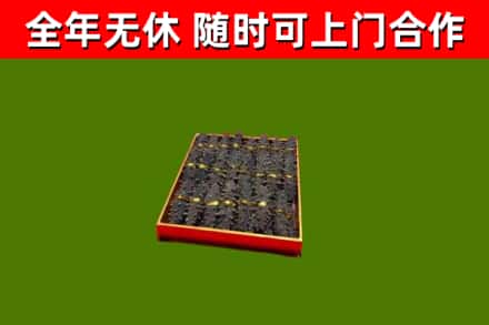 盖州烟酒回收海参.jpg